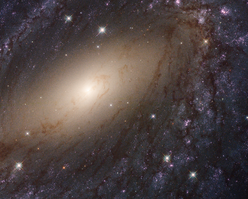Galaxy NGC 6744, which is about 30 million light-years away.